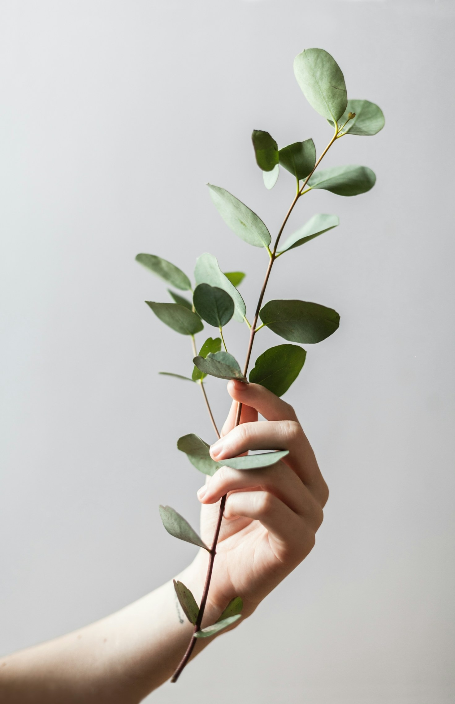 InSecretHealth’s Guide to Sustainable Wellness